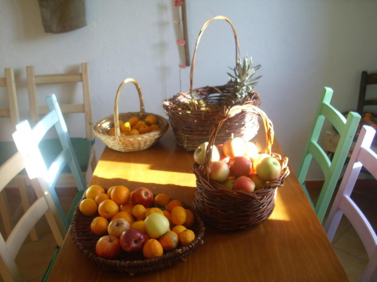 Pania Forata Hostel Stazzema Exteriér fotografie